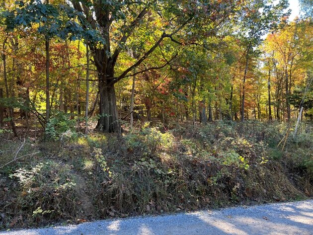 Image for Clarke County, VA Sale of Tax Delinquent Real Estate