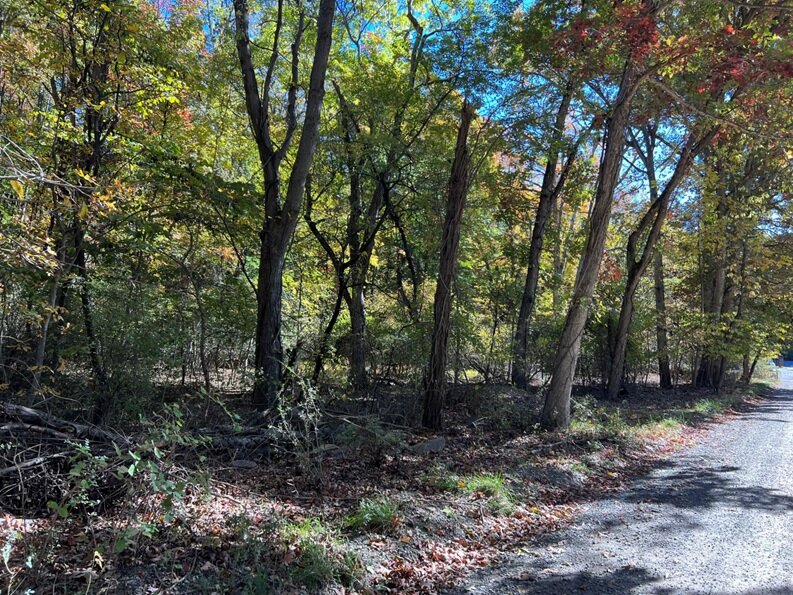 Image for Clarke County, VA Sale of Tax Delinquent Real Estate