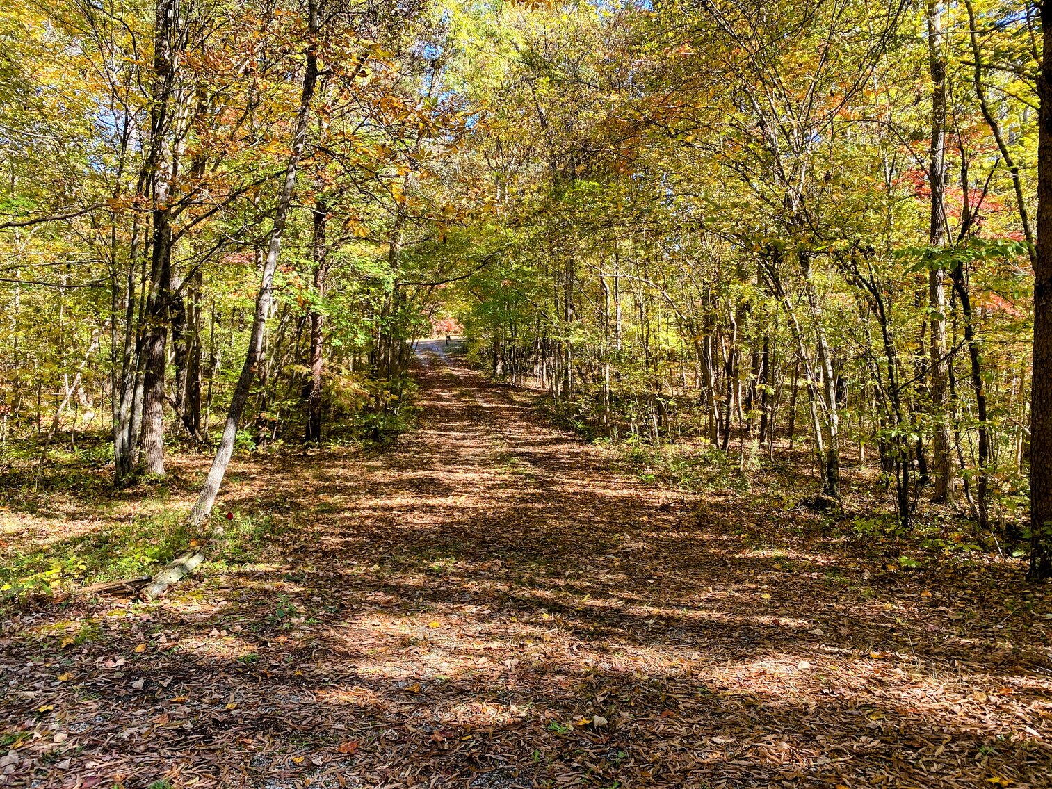 Image for 6161 Country Highland Lane