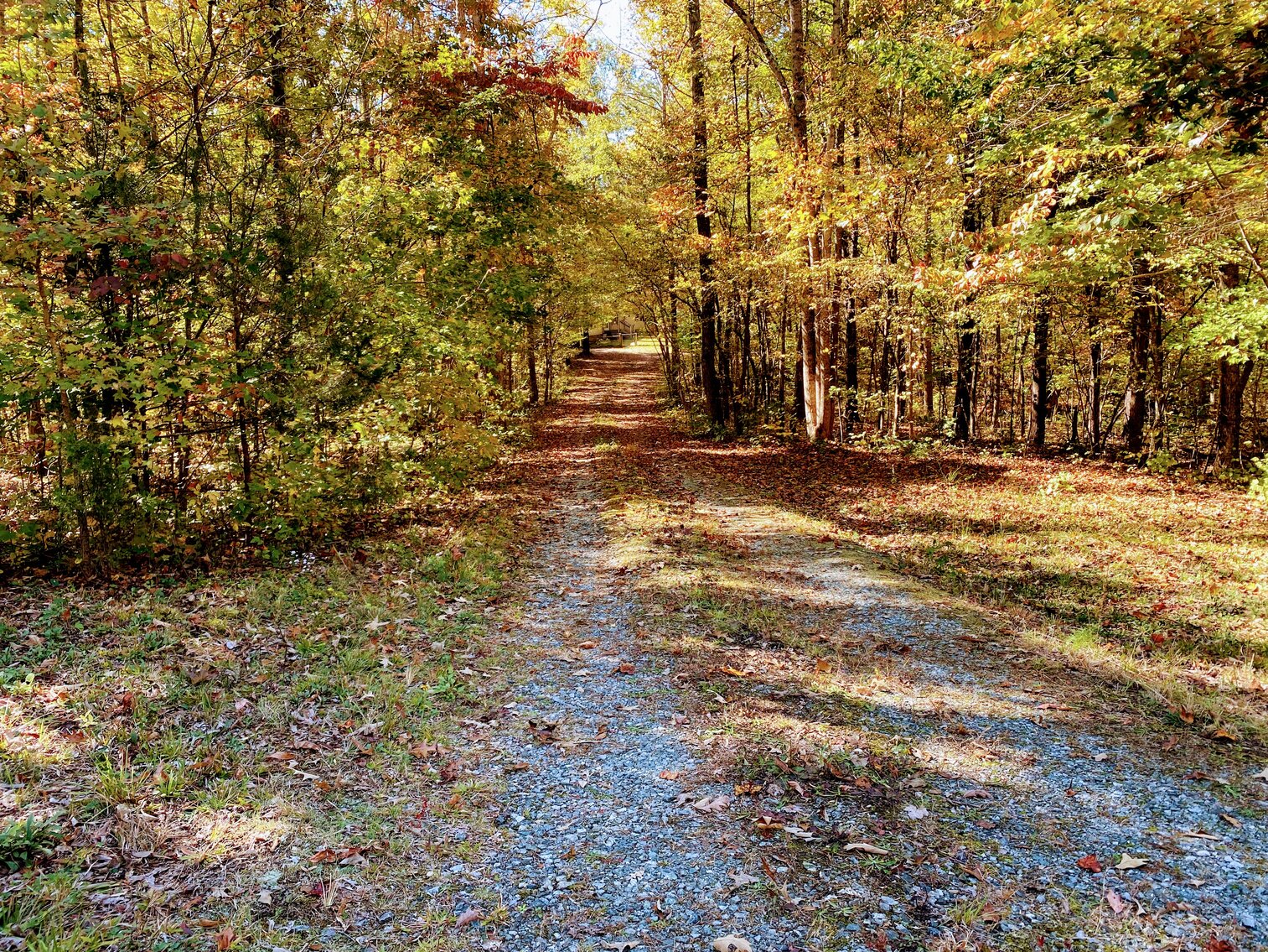 Image for 6161 Country Highland Lane