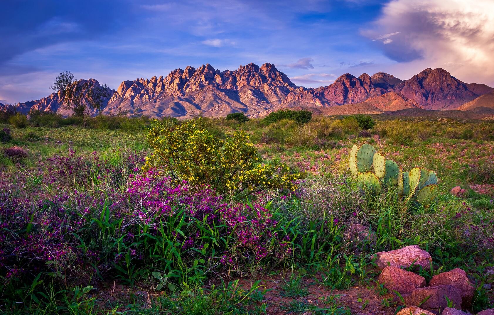 Image for Former Home of Astronaut Frank Borman - Las Cruces, New Mexico