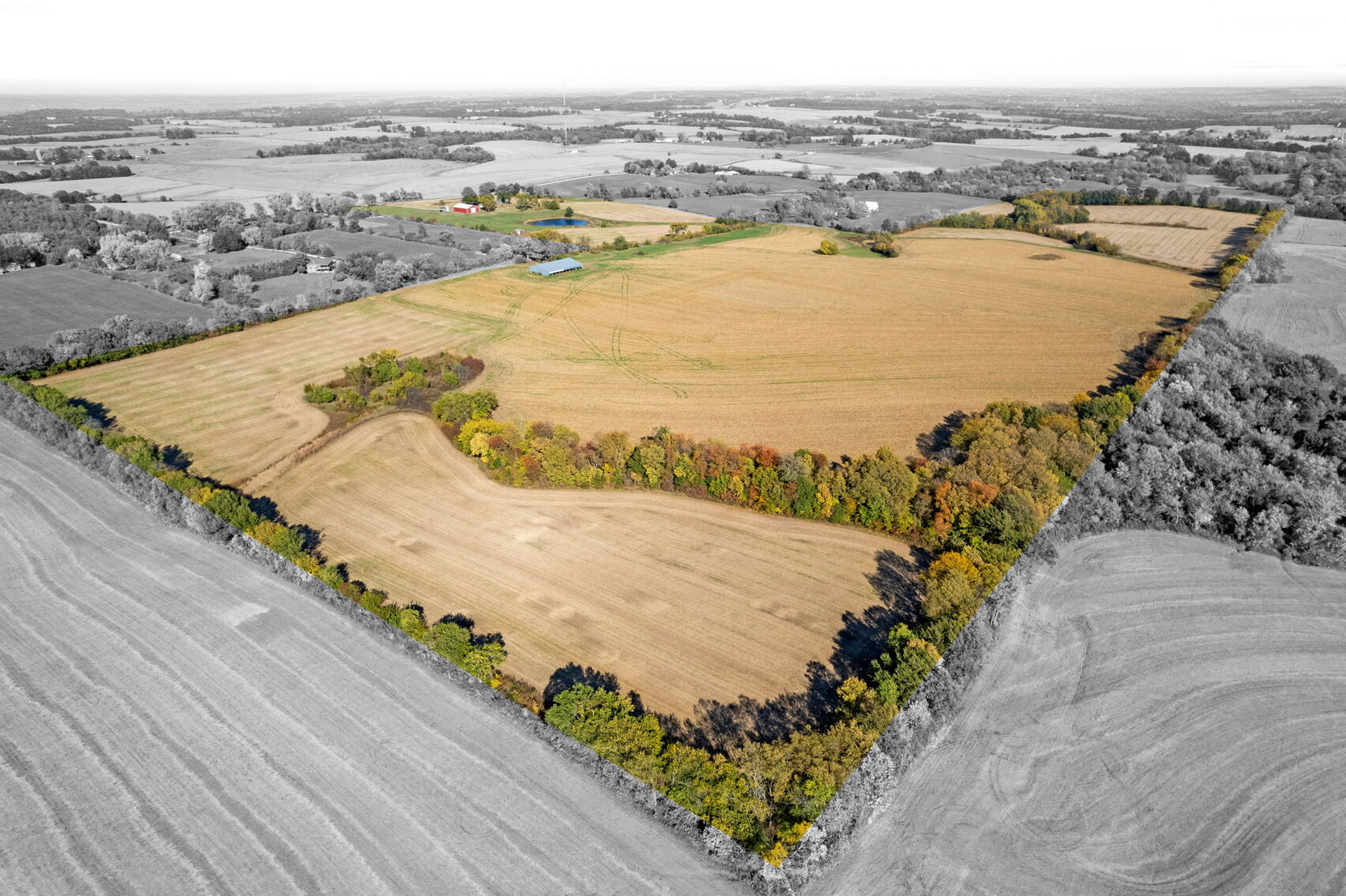 Image for Windy Ridge Farm Land Auction
