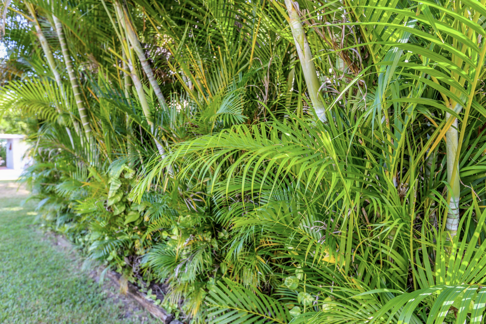 Image for For Sale ONLY at ABSOLUTE AUCTION this 3BR/2.5 Ranch Pool Home in GREAT Location