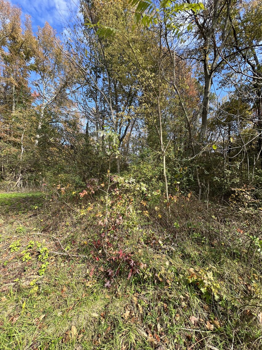 Image for Caroline County, VA Sale of Tax Delinquent Real Estate