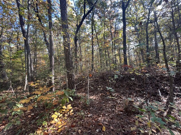 Image for Caroline County, VA Sale of Tax Delinquent Real Estate