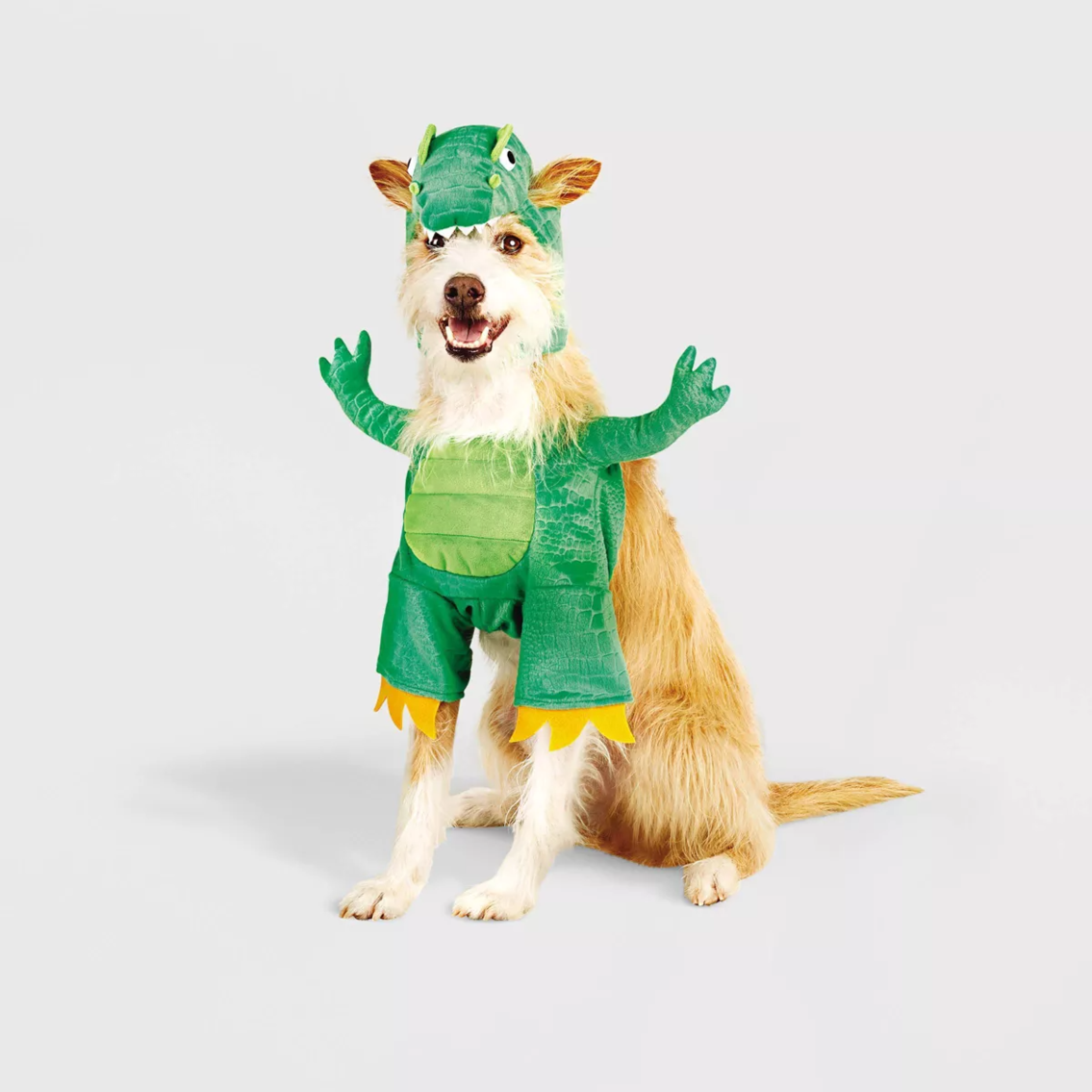 Halloween Frontal T-Rex Cat and Dog Costume - Hyde & EEK! Boutique™ XL