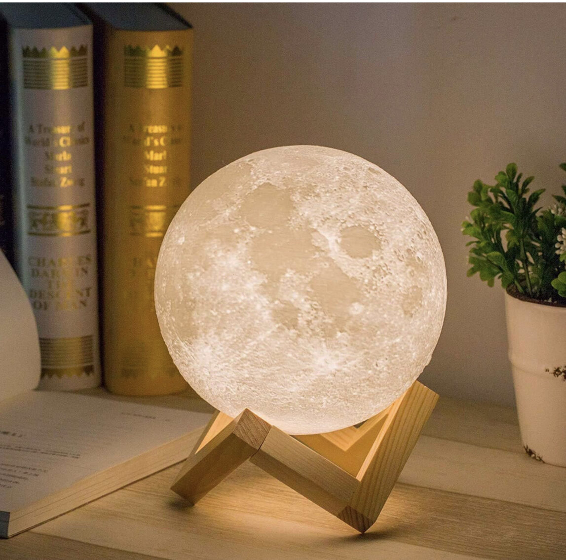 Moon Light with Wooden Stand 
