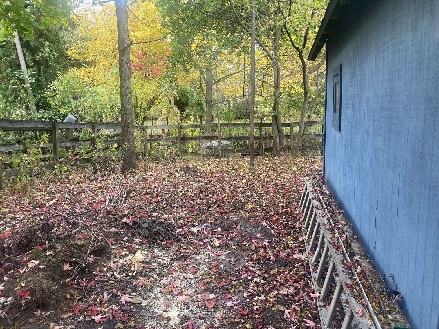 Image for 252 Maple Street, Metamora, Ohio 43540