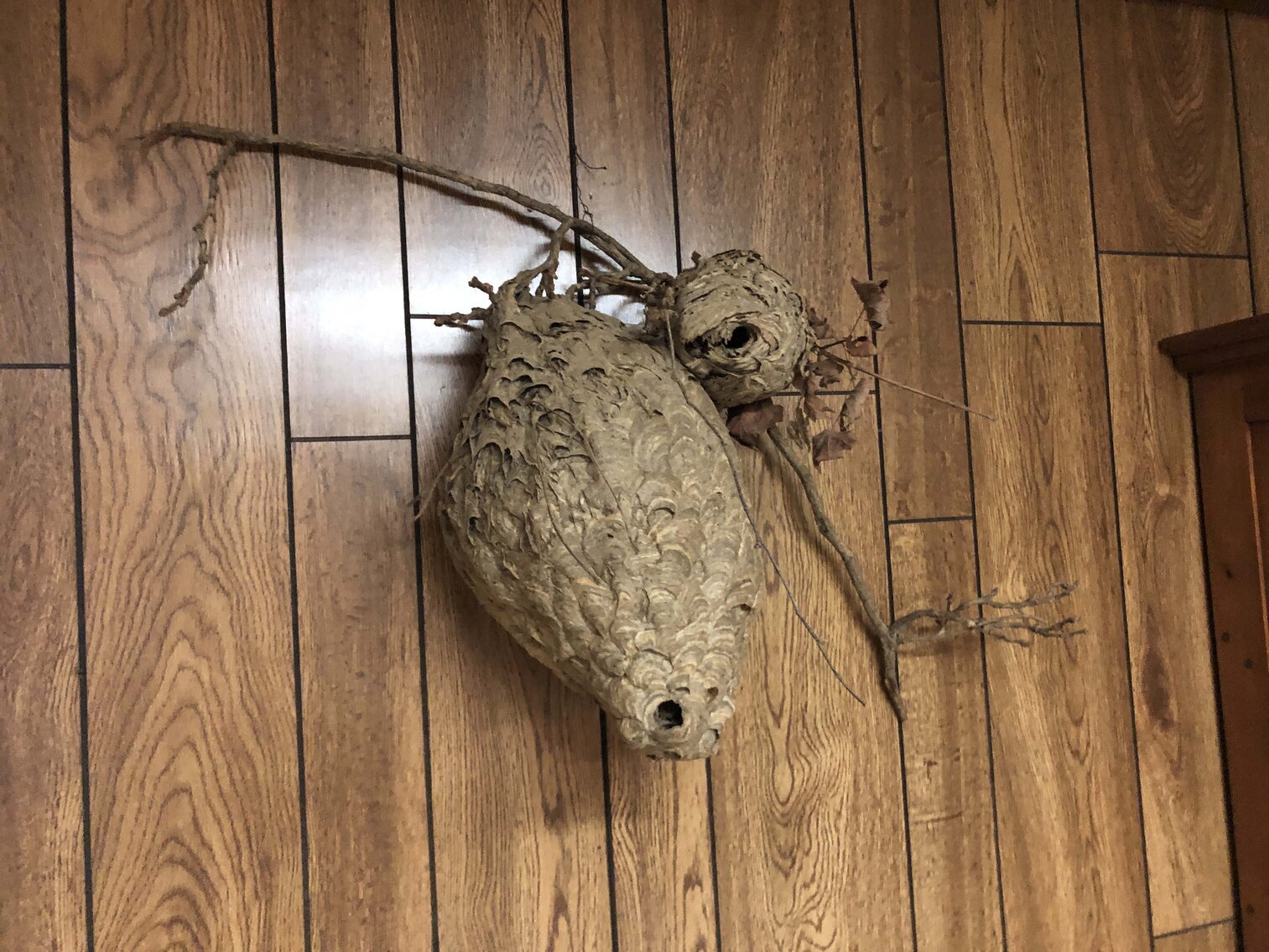 Image for 1992 Locke Bend Road, McMinnville