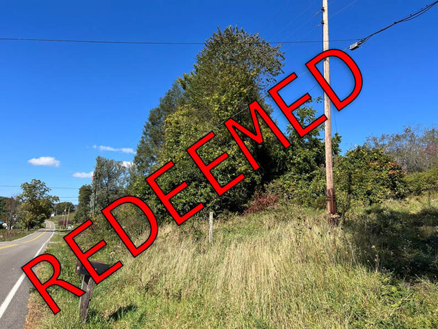 Image for Grayson County & Town of Fries, VA Sale of Tax Delinquent Real Estate