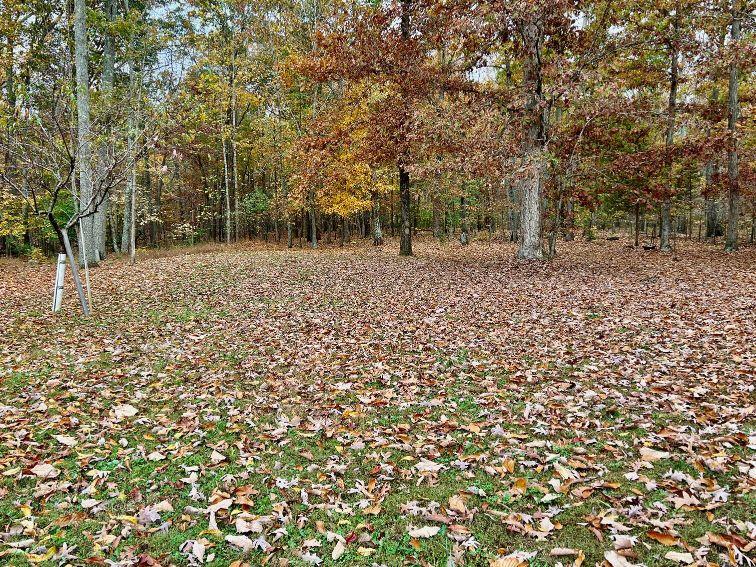 Image for 3 BR/2 BA Mobile Home w/Several Outbuildings on 3.48 +/- Acres in Orange County, VA--Selling to the Highest Bidder via ONLINE ONLY BIDDING!!