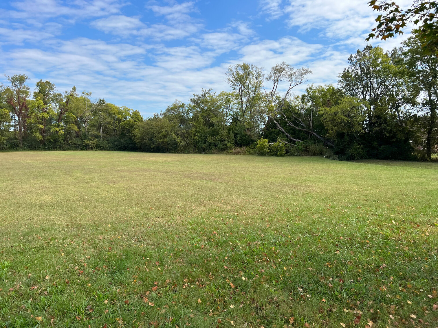 Image for 113 Savannah Ridge Drive, Murfreesboro