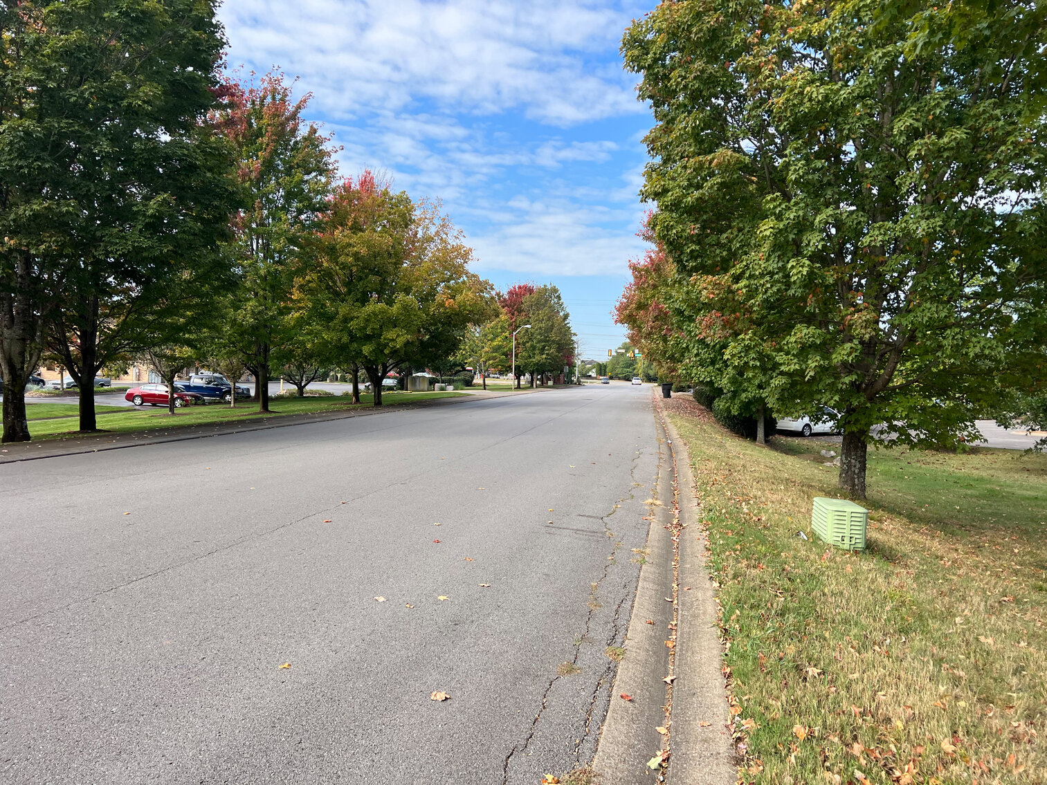 Image for 113 Savannah Ridge Drive, Murfreesboro