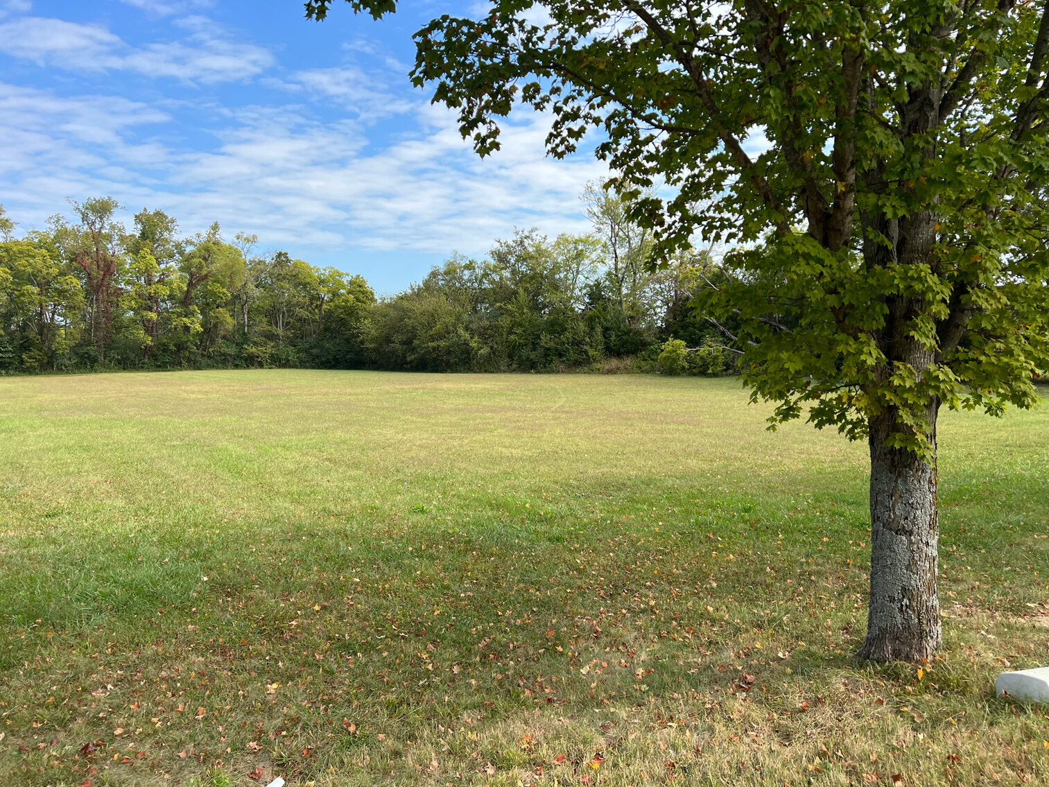 Image for 113 Savannah Ridge Drive, Murfreesboro