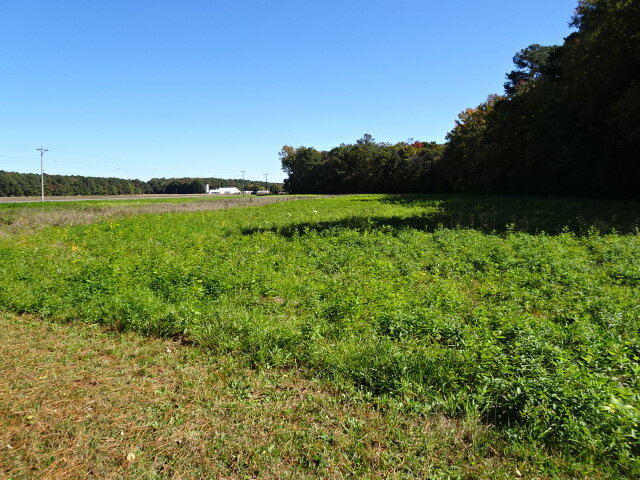 Image for Dec 2, 2023 Real Estate Auction