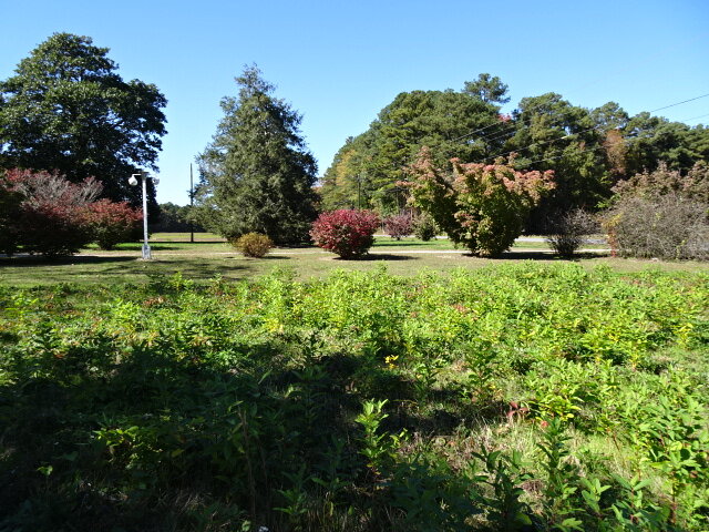 Image for Dec 2, 2023 Real Estate Auction