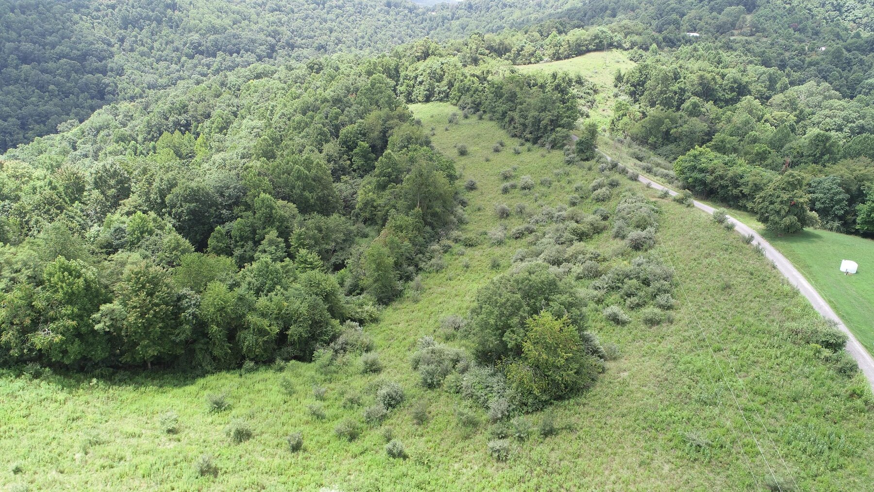 Image for SOLD $192,500 - 3 Bedroom on 39 Acres Selling to the Highest Bidder