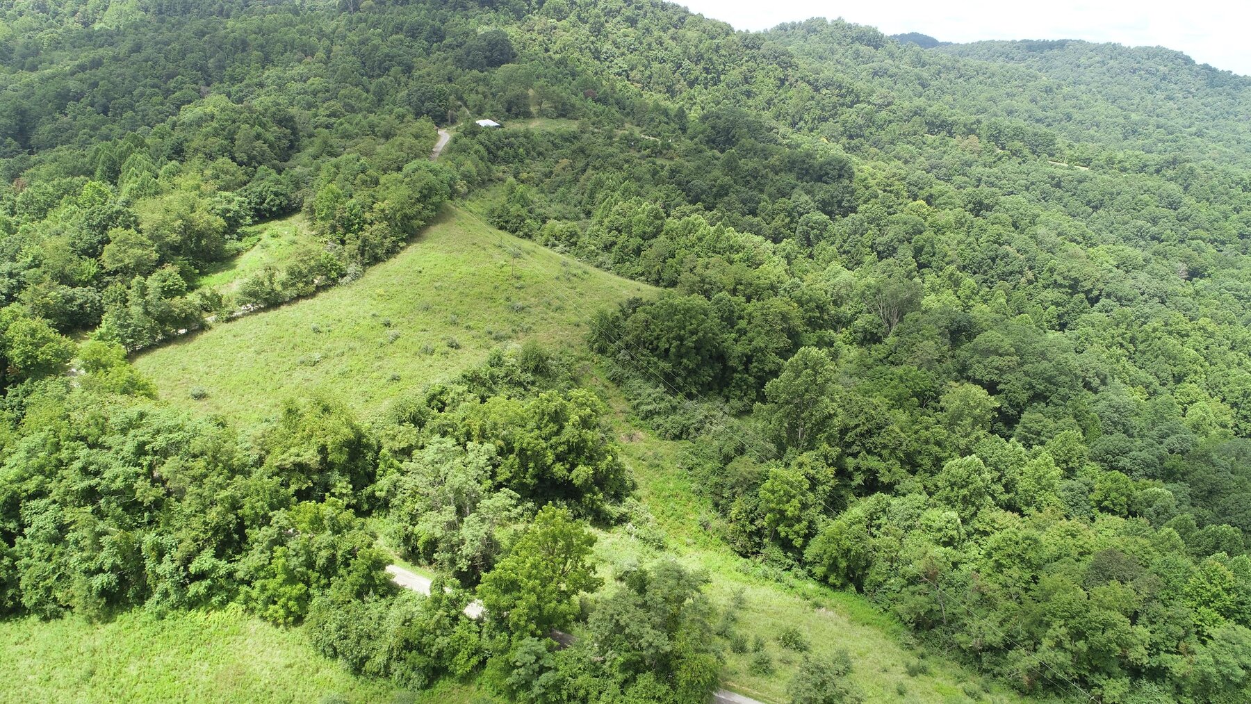 Image for SOLD $192,500 - 3 Bedroom on 39 Acres Selling to the Highest Bidder