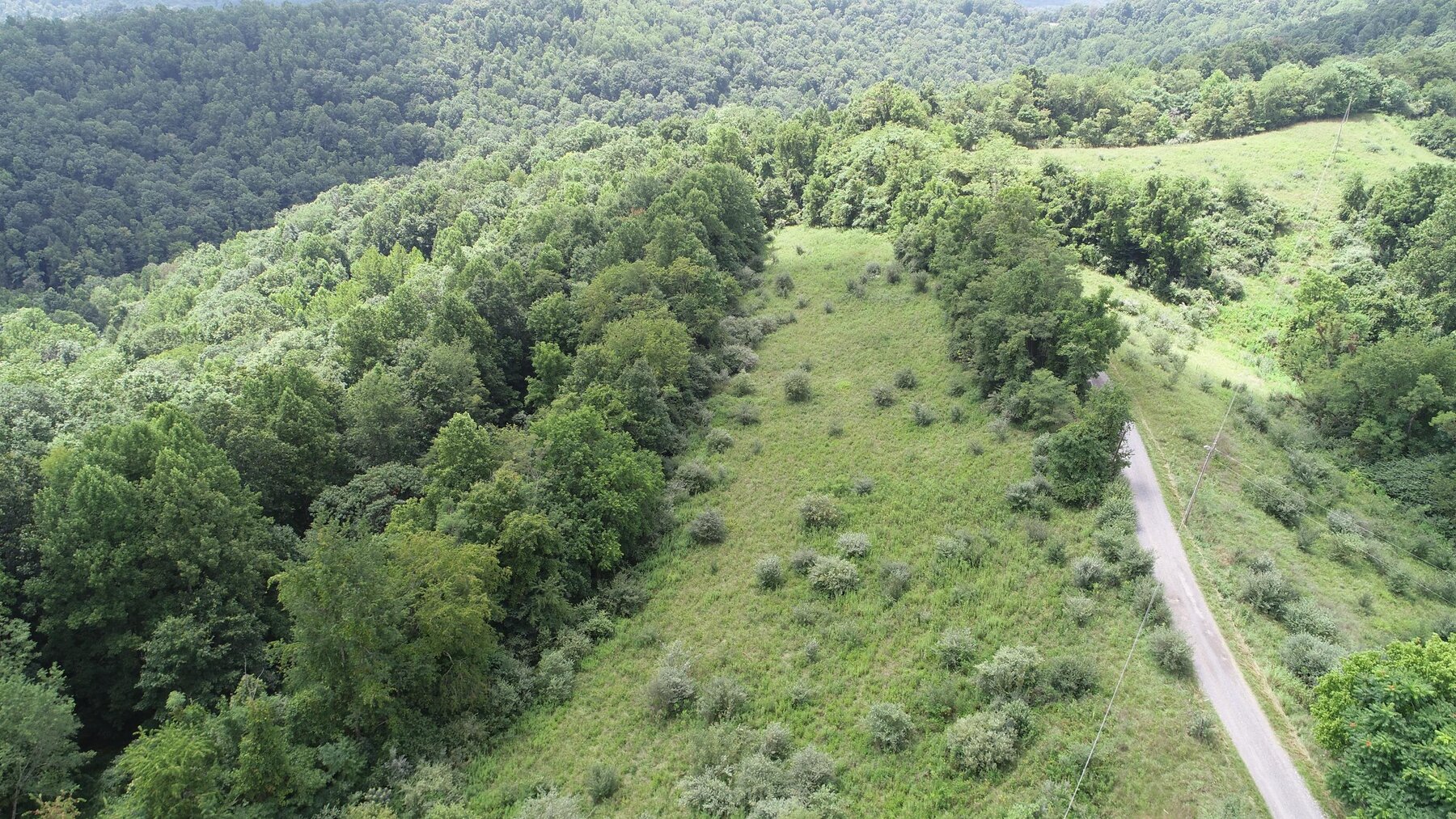 Image for SOLD $192,500 - 3 Bedroom on 39 Acres Selling to the Highest Bidder