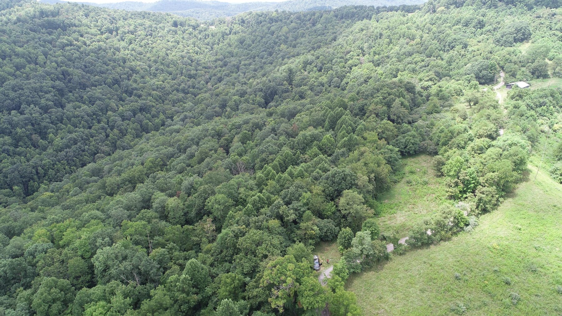 Image for SOLD $192,500 - 3 Bedroom on 39 Acres Selling to the Highest Bidder