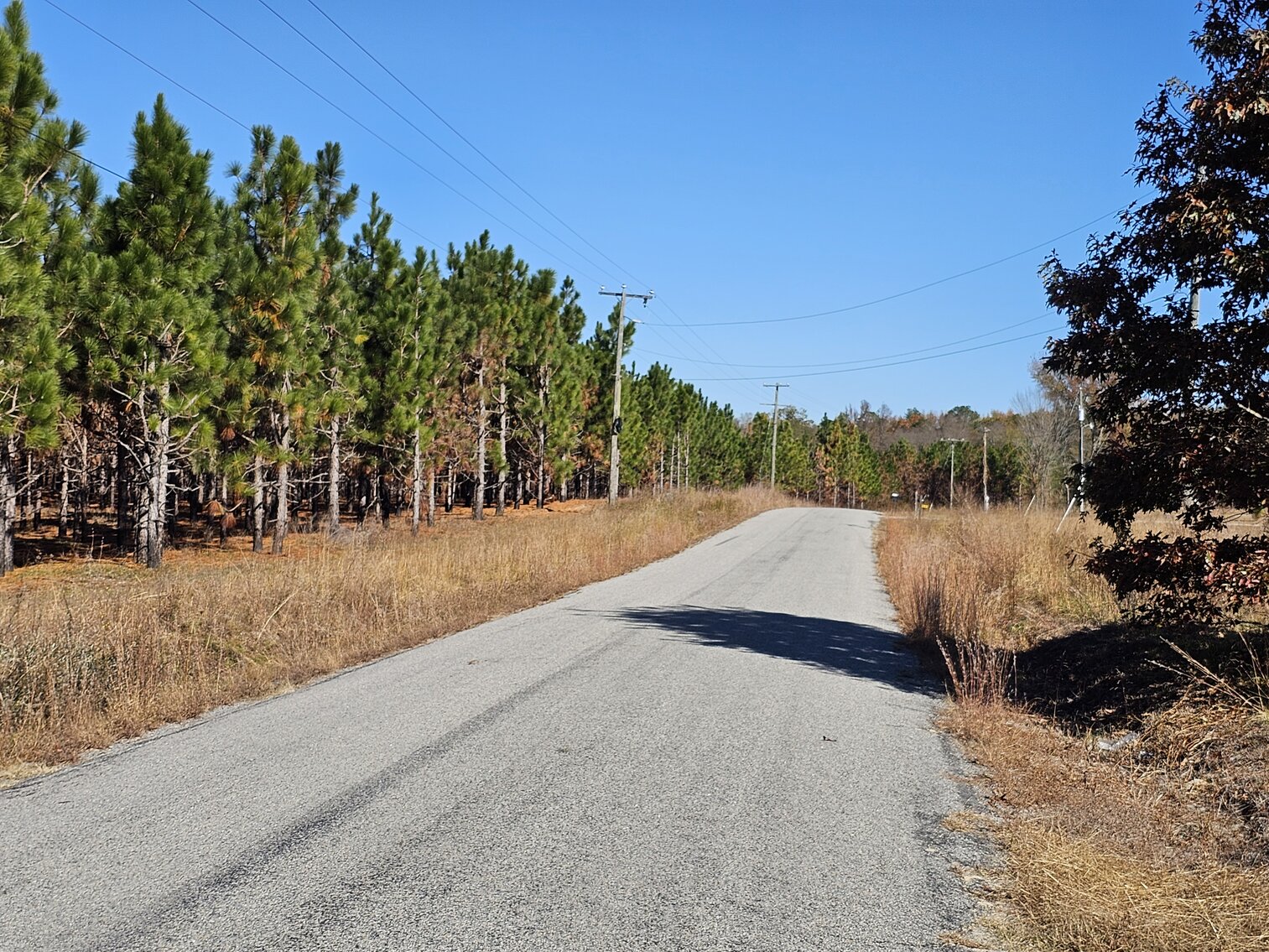 Image for SOLD! Public Trustee Sale | 3 BR/2 BA Modular Home | 1,166± SF | 2.24± AC Lot | Open Floor Plan | 26282 Peters Bridge Road | Courtland, VA