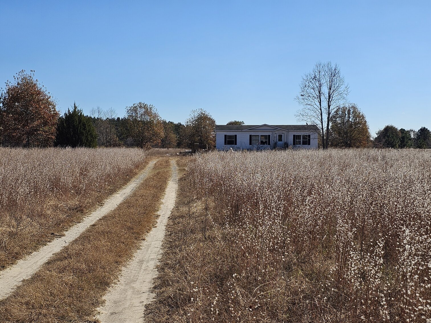 Image for SOLD! Public Trustee Sale | 3 BR/2 BA Modular Home | 1,166± SF | 2.24± AC Lot | Open Floor Plan | 26282 Peters Bridge Road | Courtland, VA