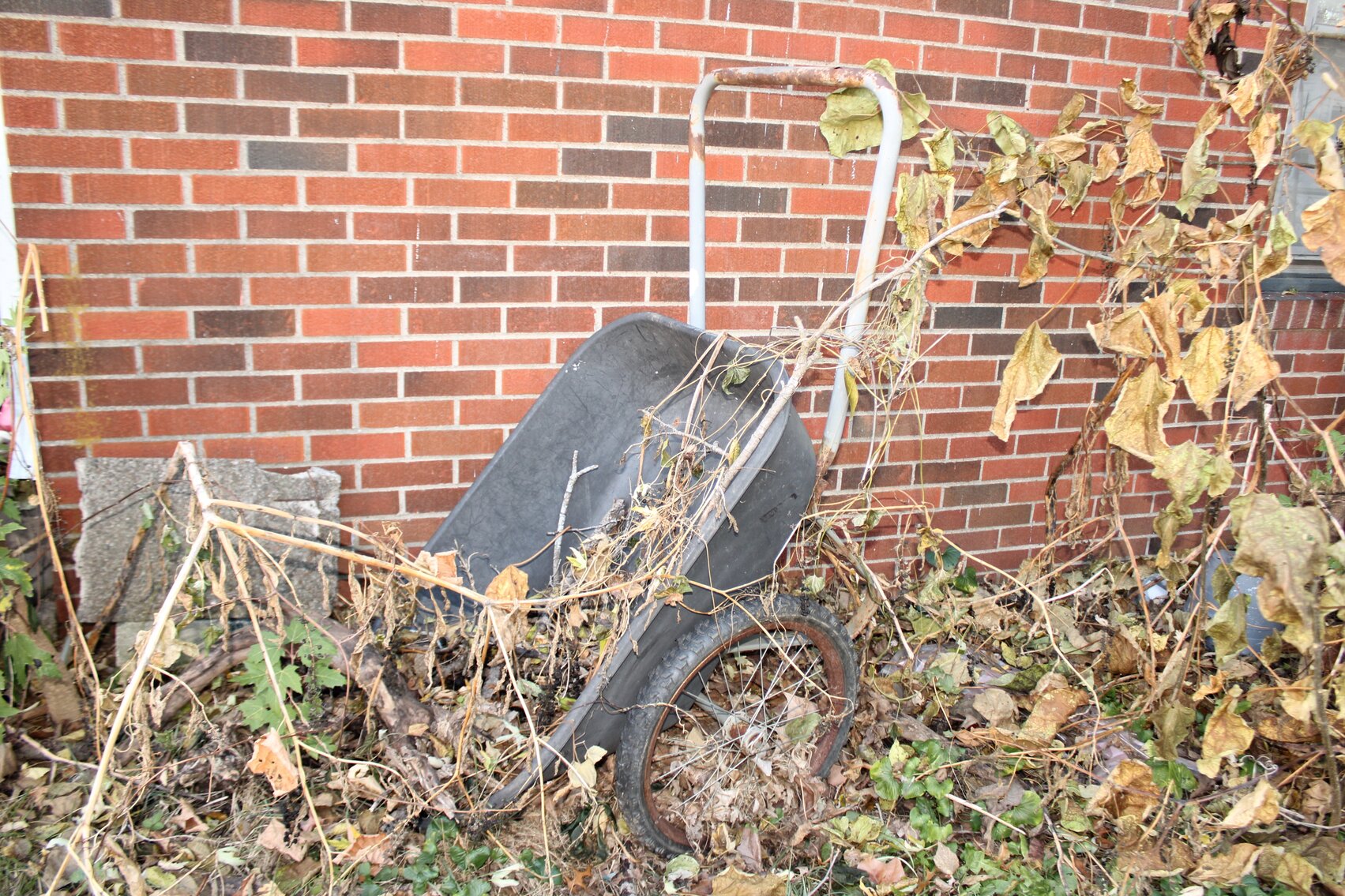 Image for EMERGENCY LAST MINUTE ESTATE AUCTION