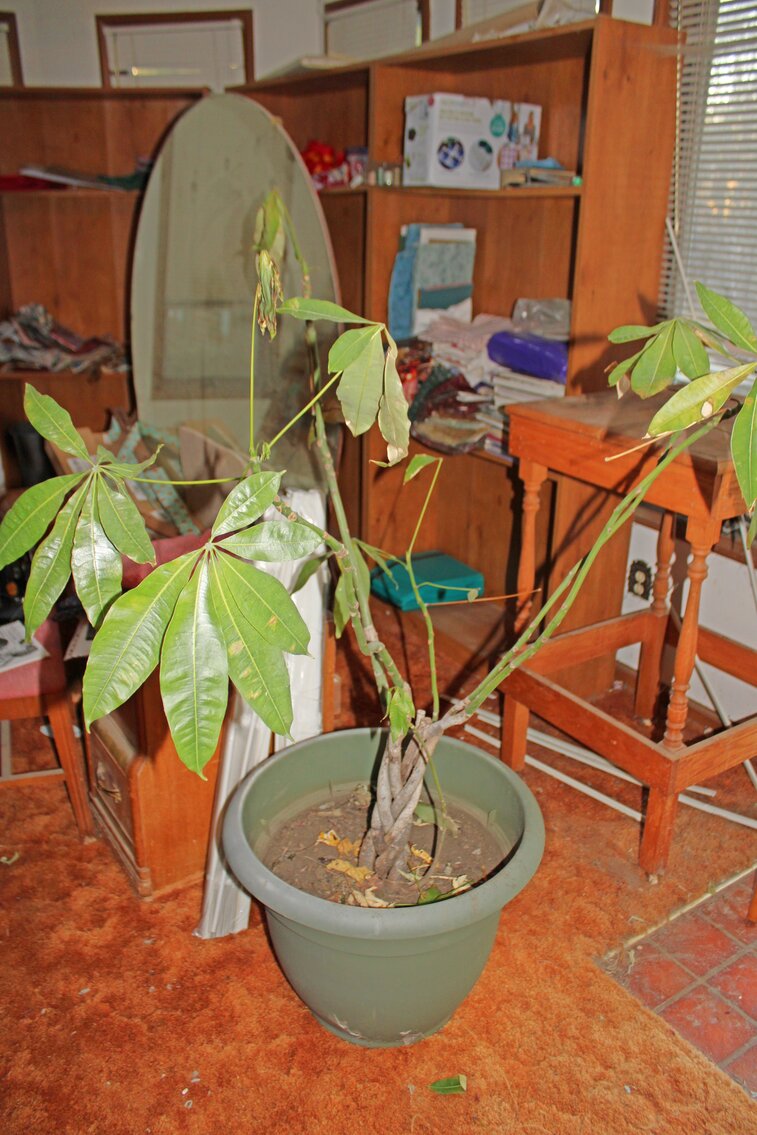 Image for EMERGENCY LAST MINUTE ESTATE AUCTION