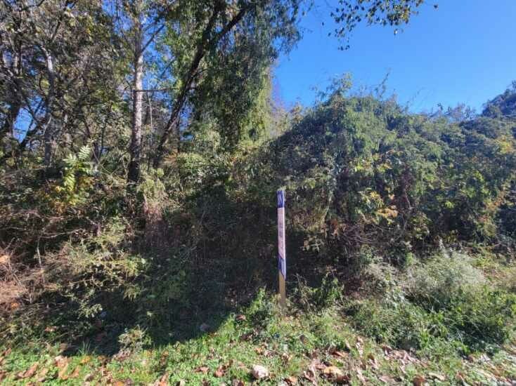 Image for Dec. 4th, 2023 - Dec. 18th, 2023 County of Halifax Nonjudicial Tax Auction