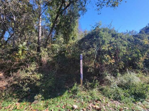 Image for Dec. 4th, 2023 - Dec. 18th, 2023 County of Halifax Nonjudicial Tax Auction