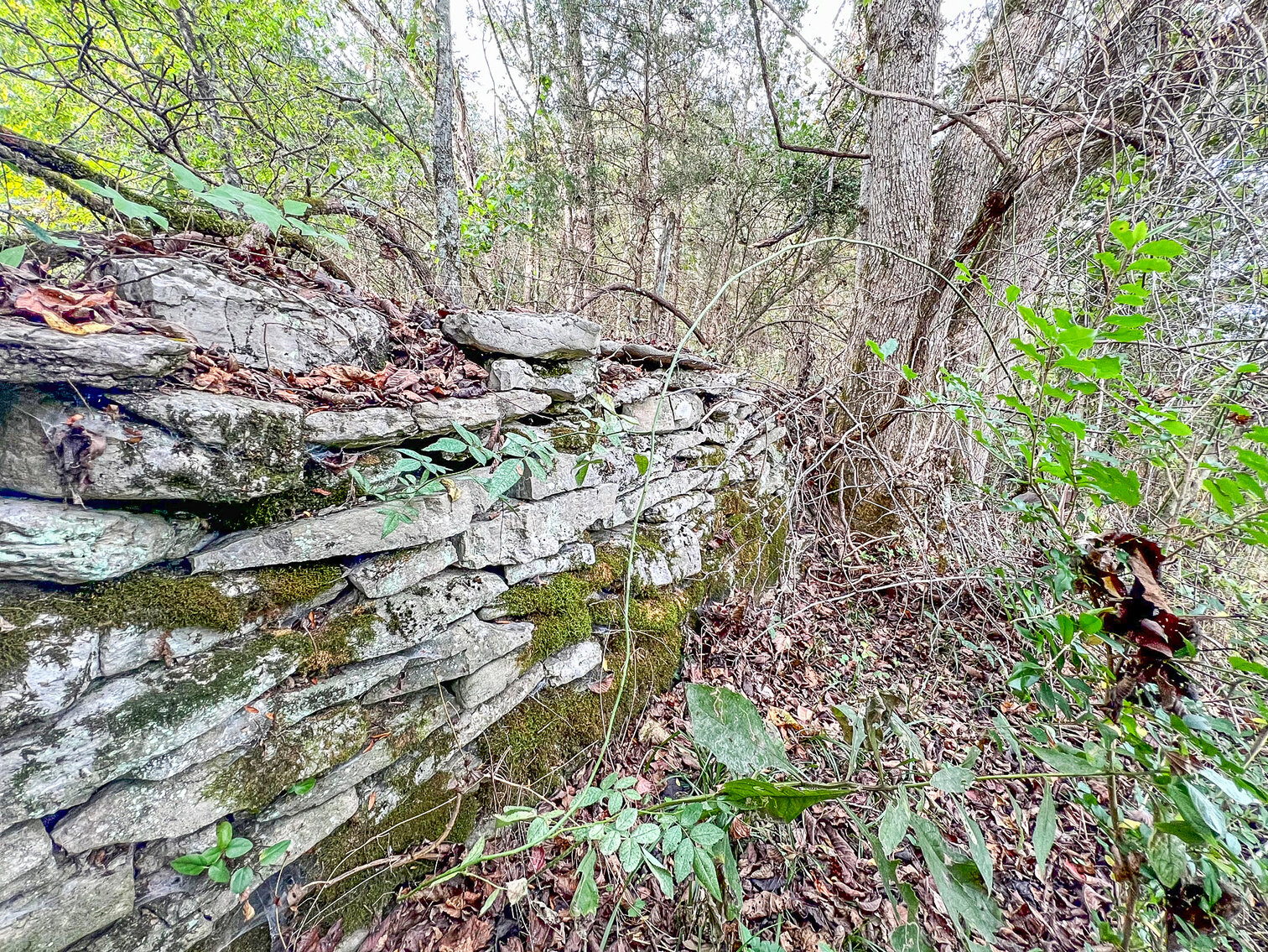 Image for 3460 Bradyville Road, Readyville