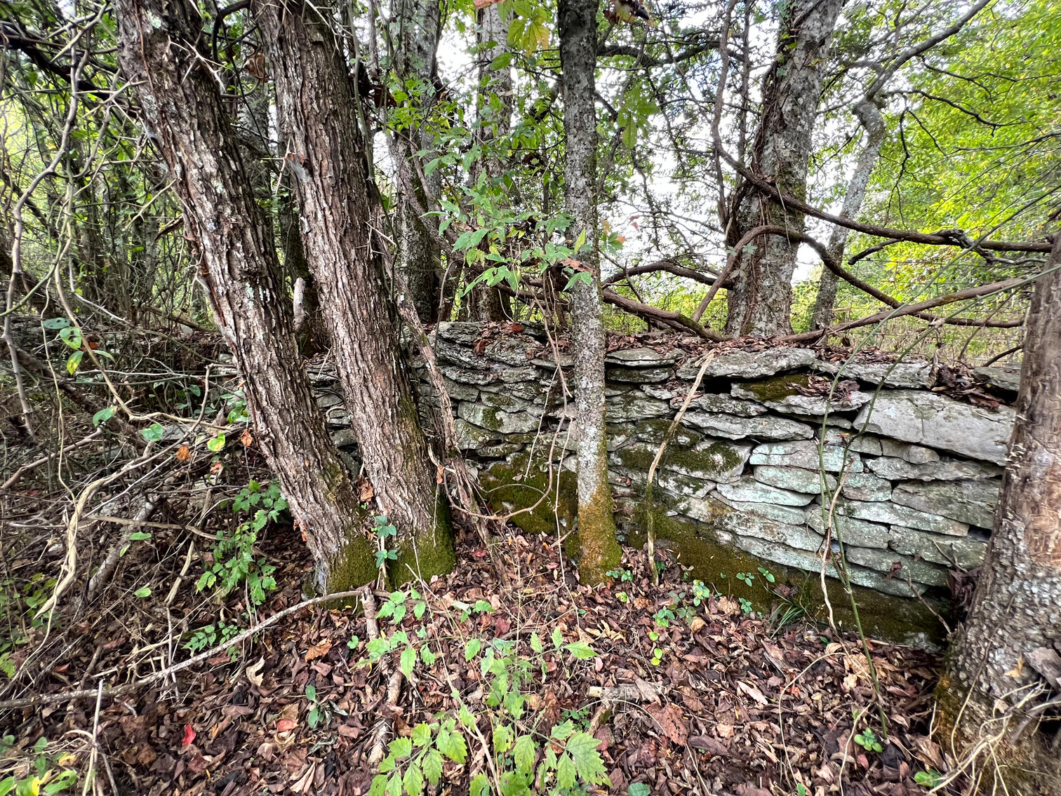 Image for 3460 Bradyville Road, Readyville