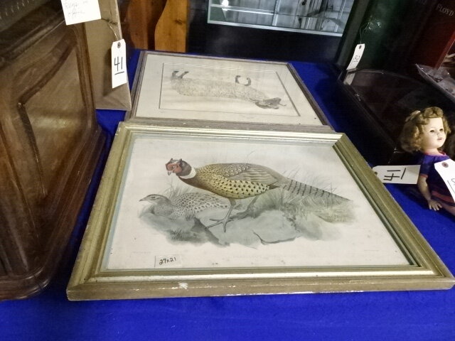 Image for Nov 9, 2023 Public Auction