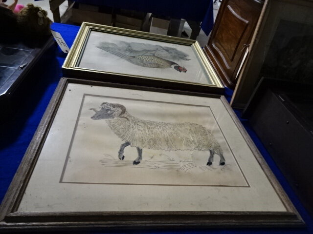 Image for Nov 9, 2023 Public Auction