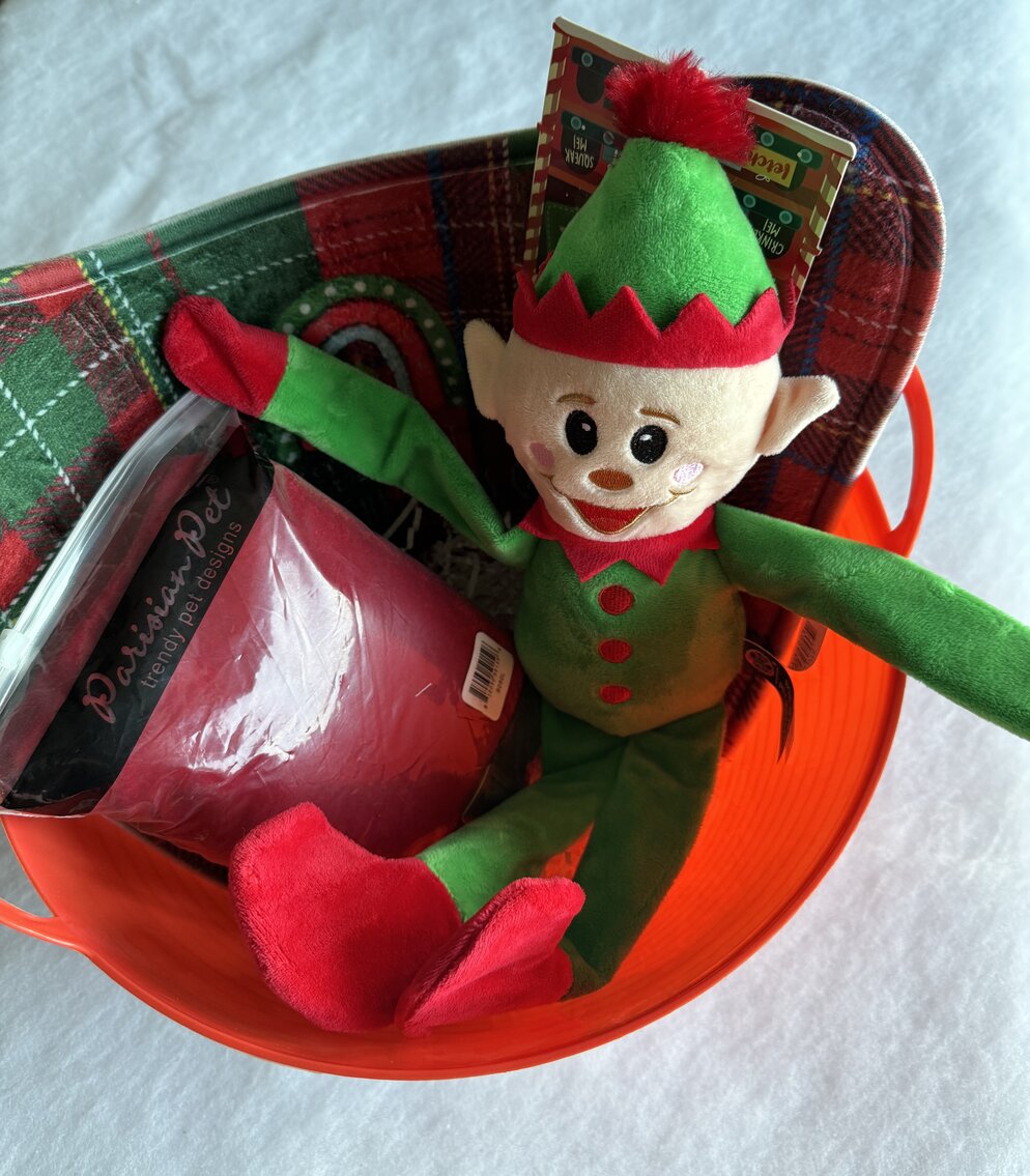 "All I Want For Christmas" Doggie Deluxe Gift Basket