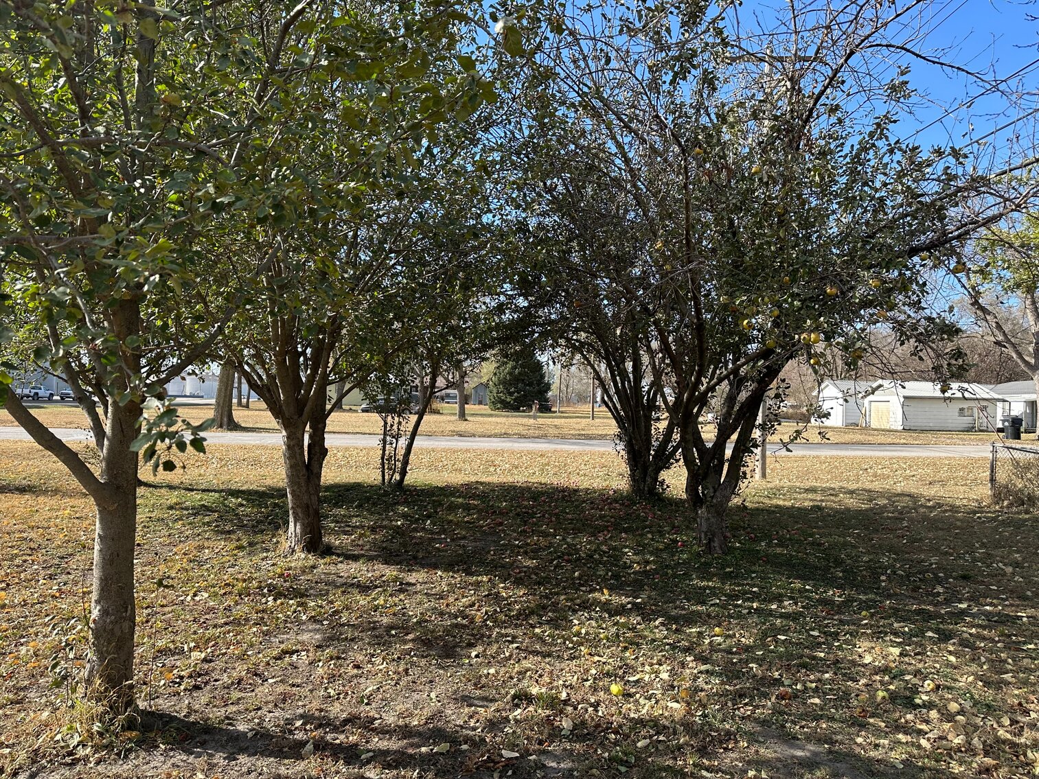 Image for 580 Broadway Street, Sterling, NE Real Estate Auction by Burrows Tracts Real Estate