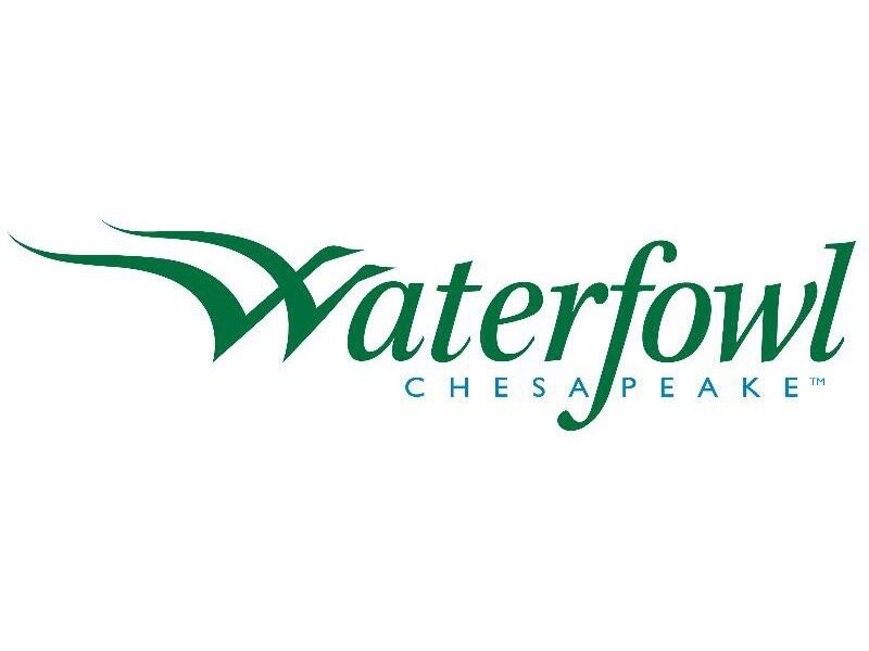 Image for Easton Waterfowl Festival Tailgate