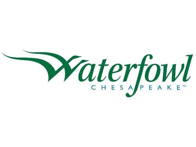 Image for Easton Waterfowl Festival Tailgate