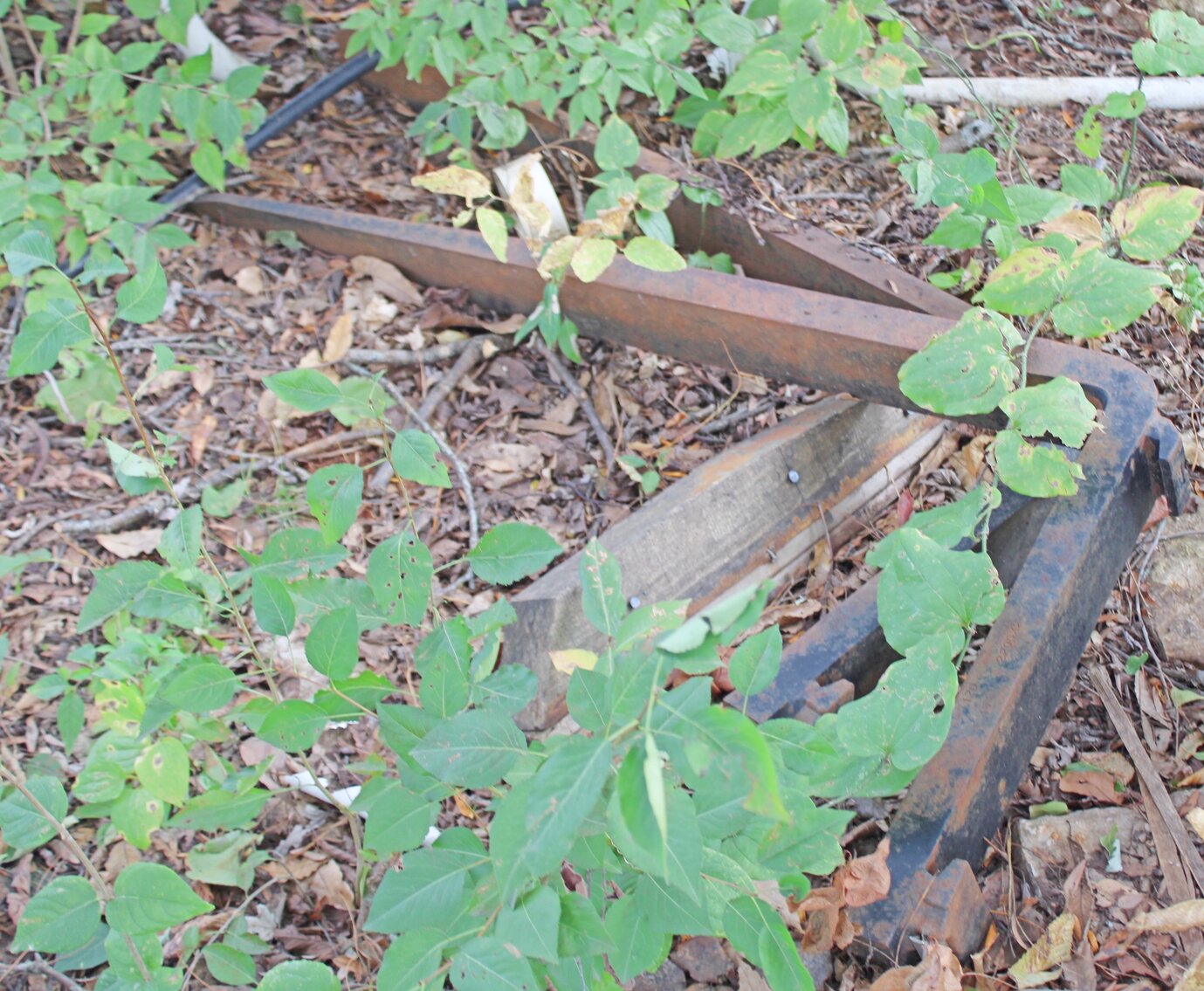 Image for EXCELLENT ESTATE AUCTION