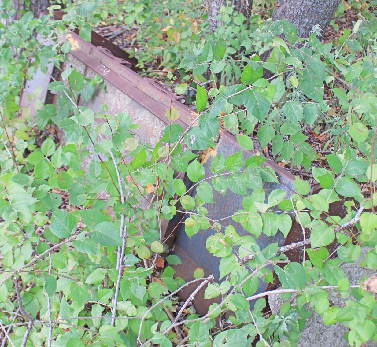 Image for EXCELLENT ESTATE AUCTION