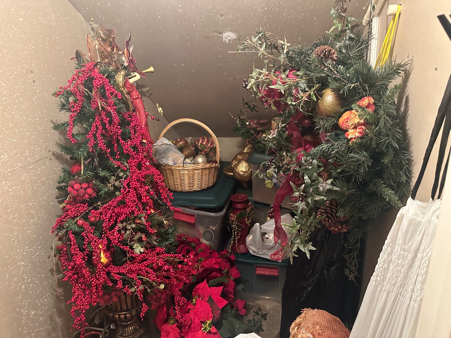 Image for Proffitt Moving Auction