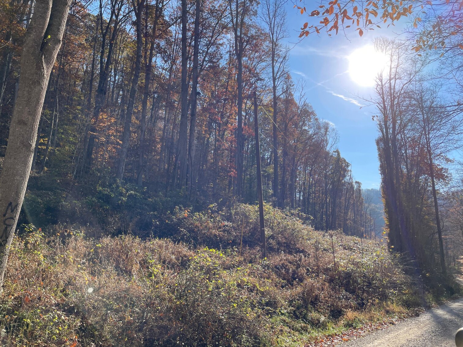 Image for SOLD $68,200 - 80 Wooded Acres in Kanawha County