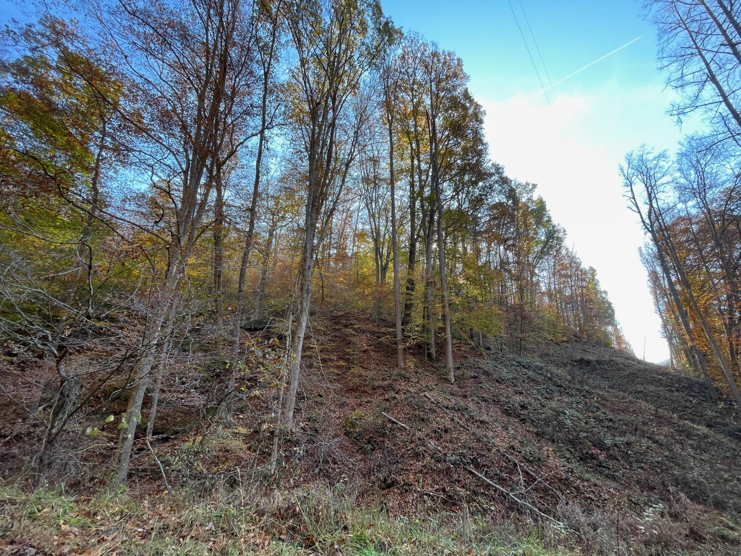 Image for SOLD $68,200 - 80 Wooded Acres in Kanawha County