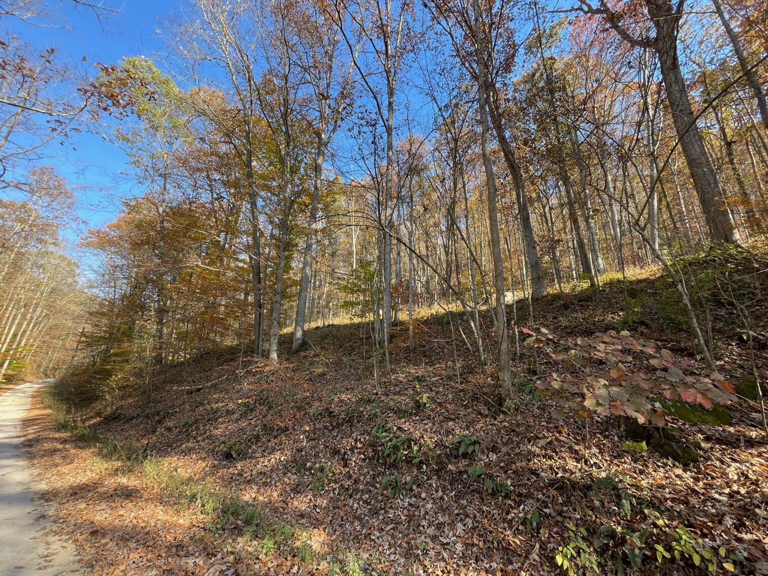Image for SOLD $68,200 - 80 Wooded Acres in Kanawha County