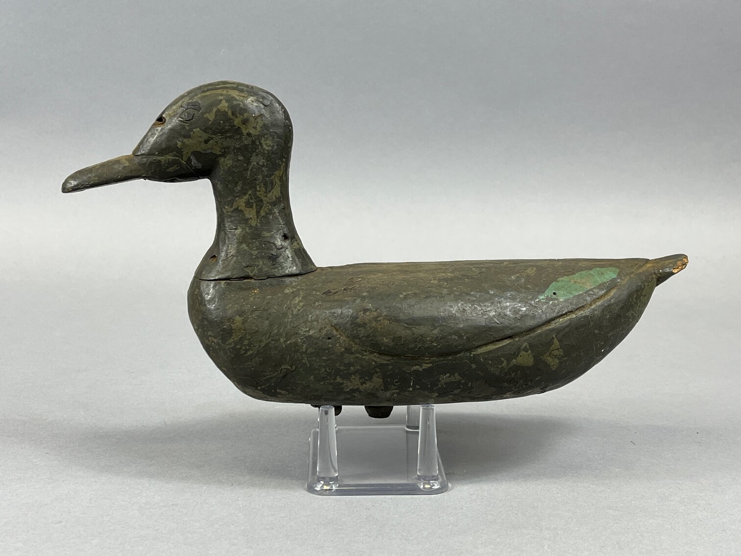 Green Wing Teal Hen from Louisiana 