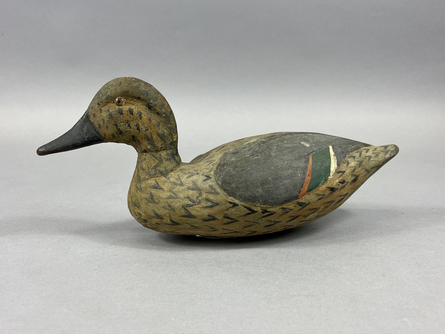 Green Wing Teal from Louisiana 