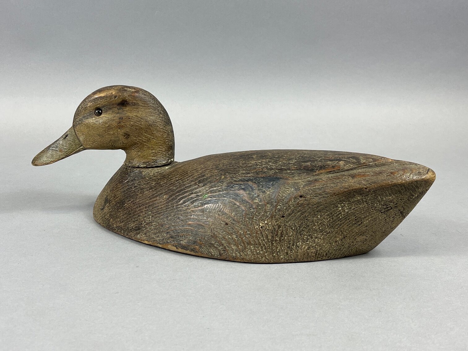 Blackduck from Canada 