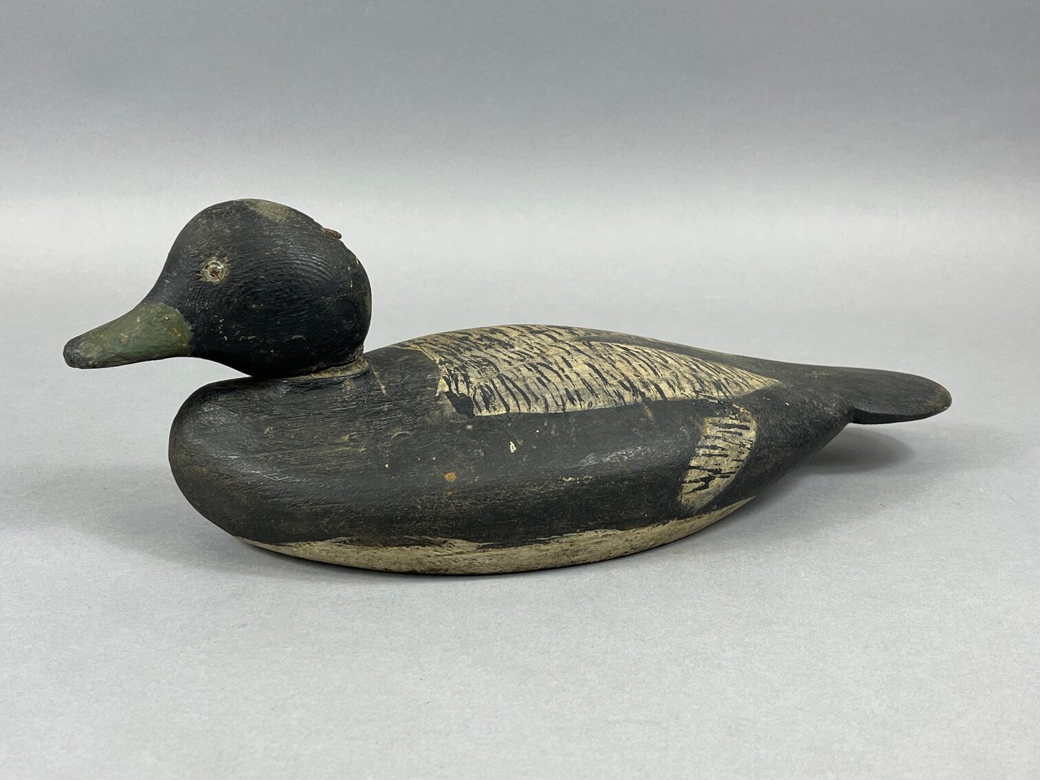 Bluebill from Connecticut 