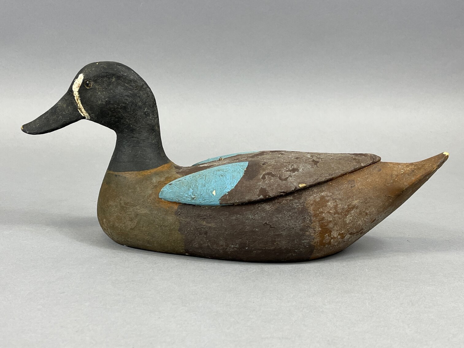 Blue Wing Teal from Louisiana 