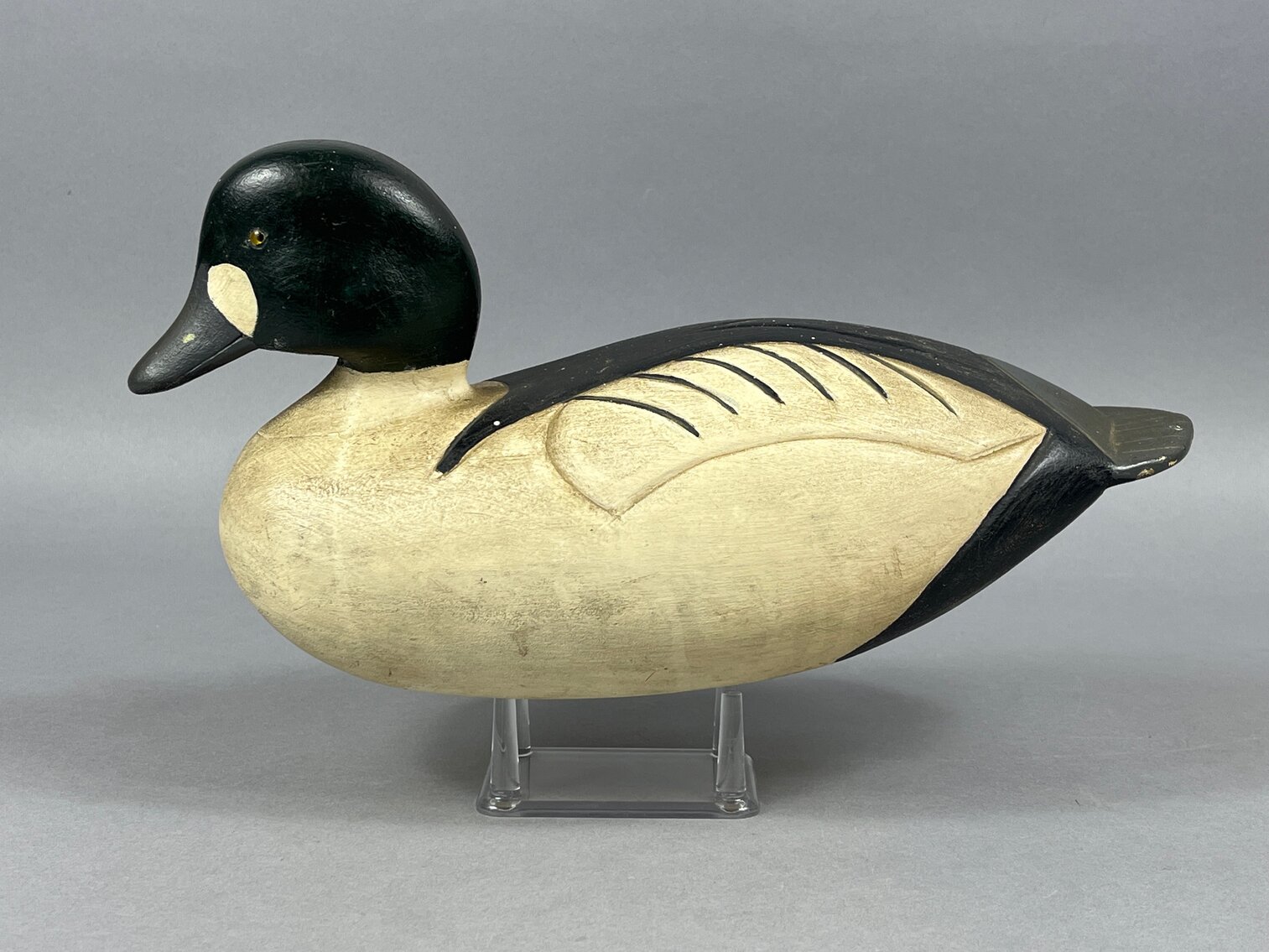 Goldeneye by Douglas White 